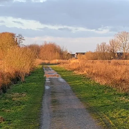 ספינת מלון Hausboot Am Wangermeer Floating Home *